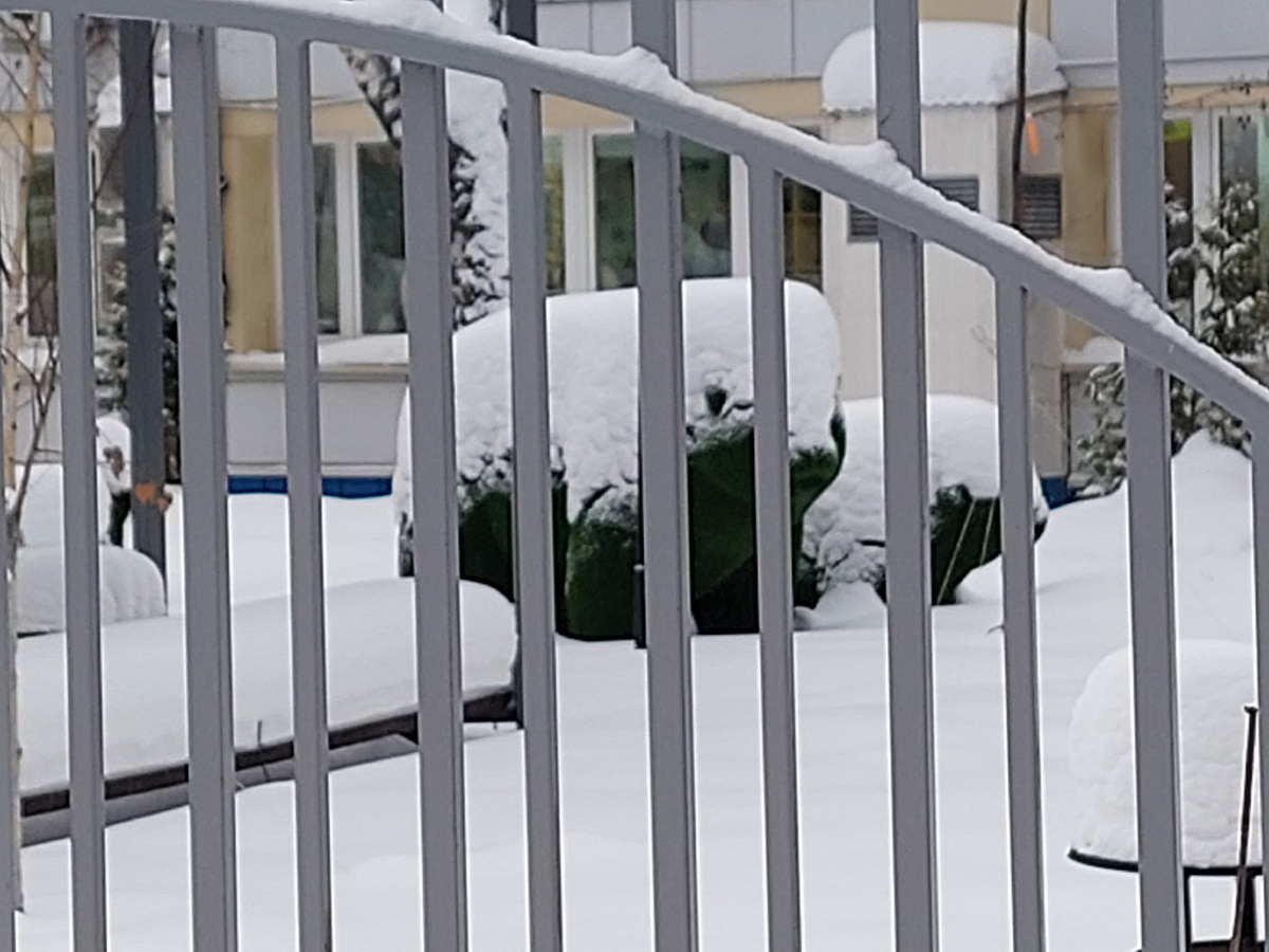 Фото автора статьи