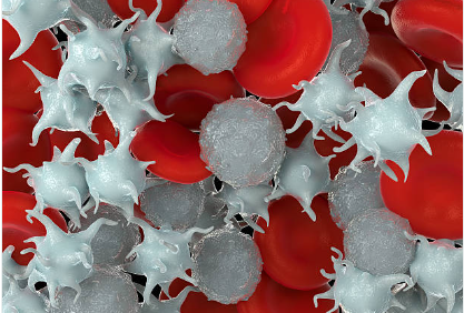 Тромбоциты среди других компонентов крови