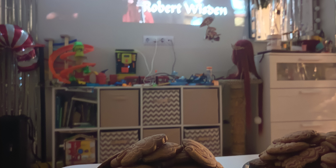 Ели имбирное печенье, пока дети спали.