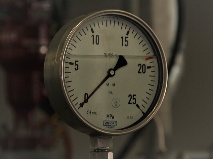     фото: мк в вологде