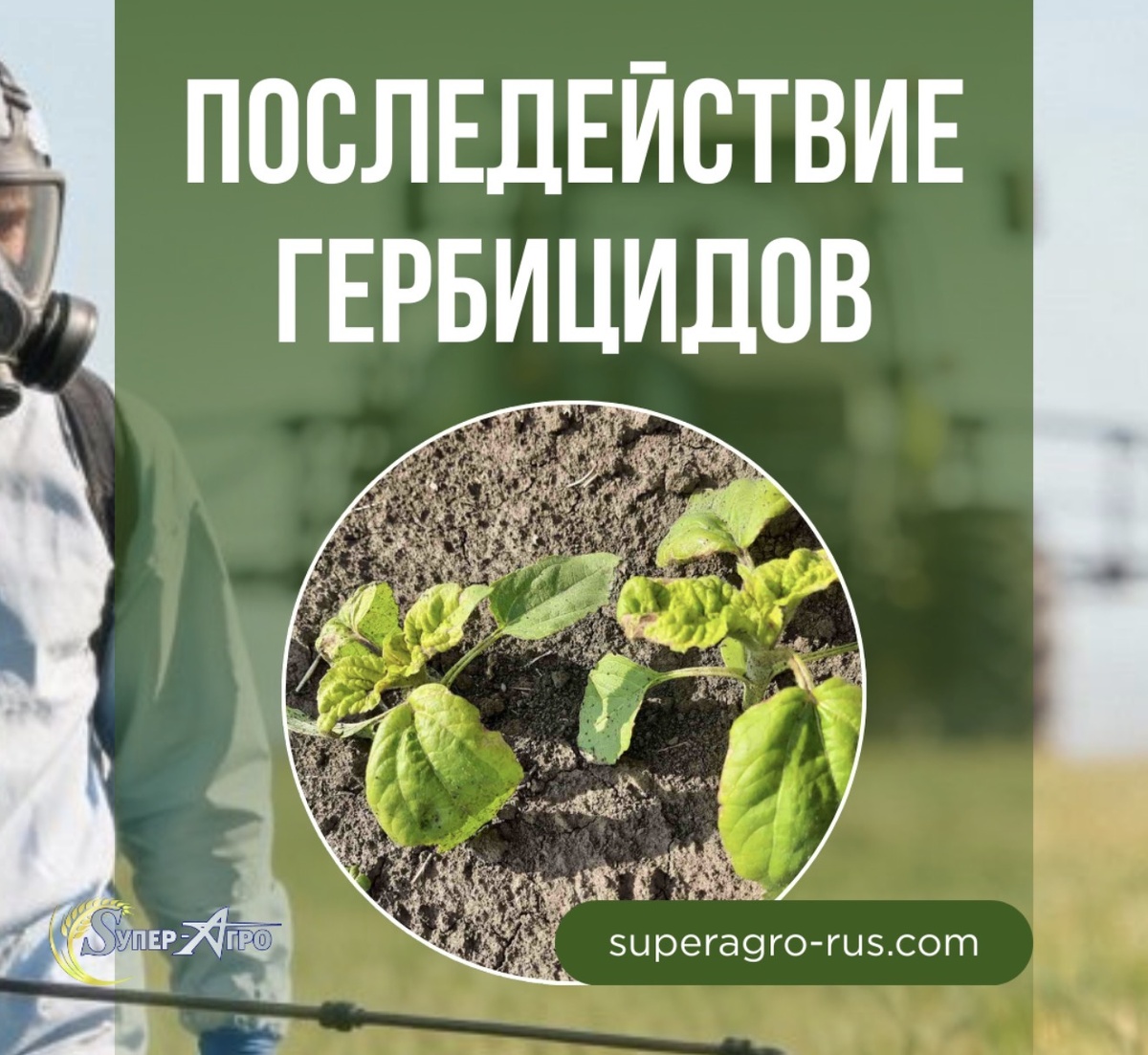 Последействие гербицидов