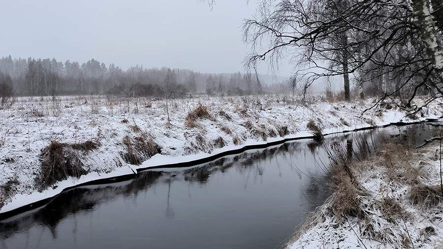    Фото: Global Look Press/Maksim Konstantinov