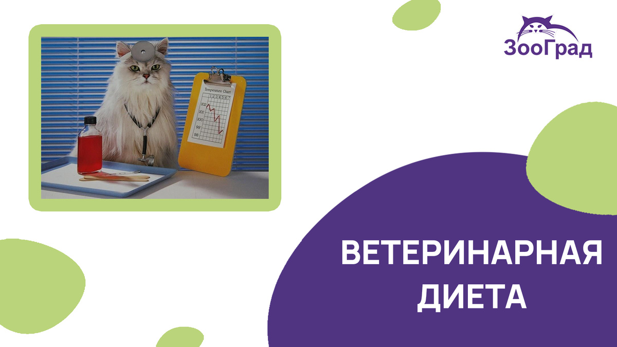 Ветеринарная диета
