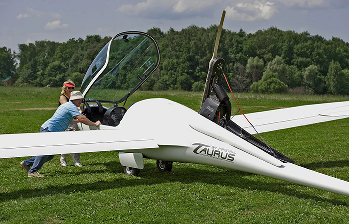 Еще один гибрид./ Фото: wikimedia.org