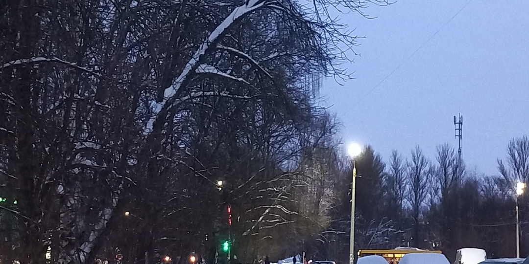 29.01.2026. Ну что ж, и так бывает