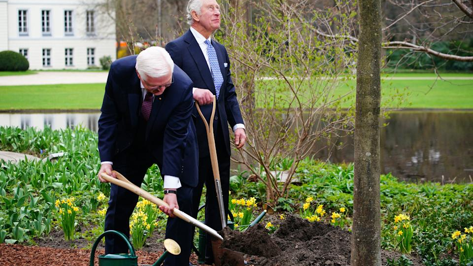 Карл III копает под себя: королевская навозная яма благоухает скандалом