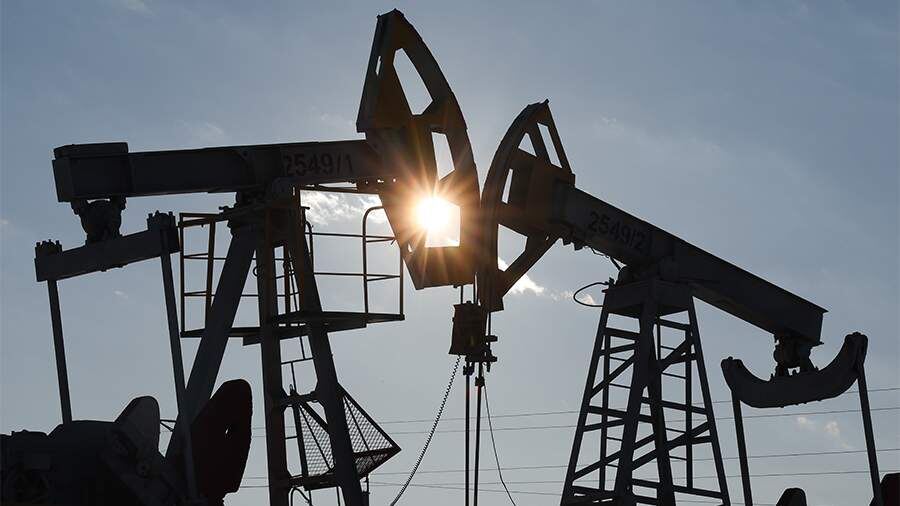    Фото: ТАСС/Егор Алеев