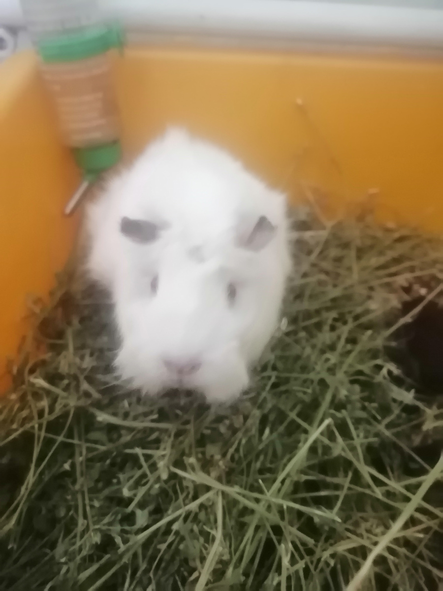 Наш мальчик