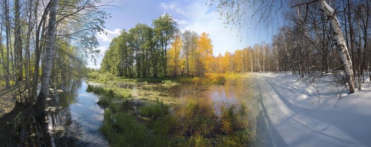 Изображение из открытых источников