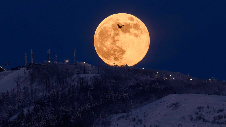    Фото: © РИА Новости/Сергей Красноухов