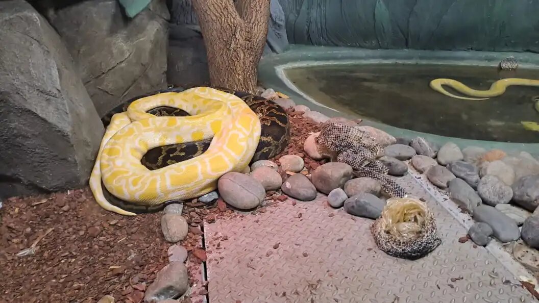    Иллюстративное фото: Царьград Новосибирск