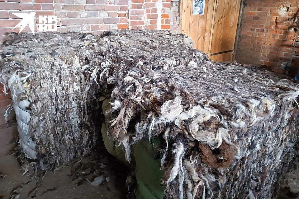    В таких тюках овечью шерсть привозят на производство Наталья ВАРСЕГОВА