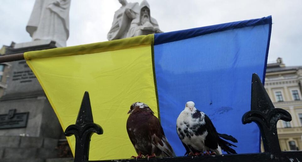    РИА «Новости»