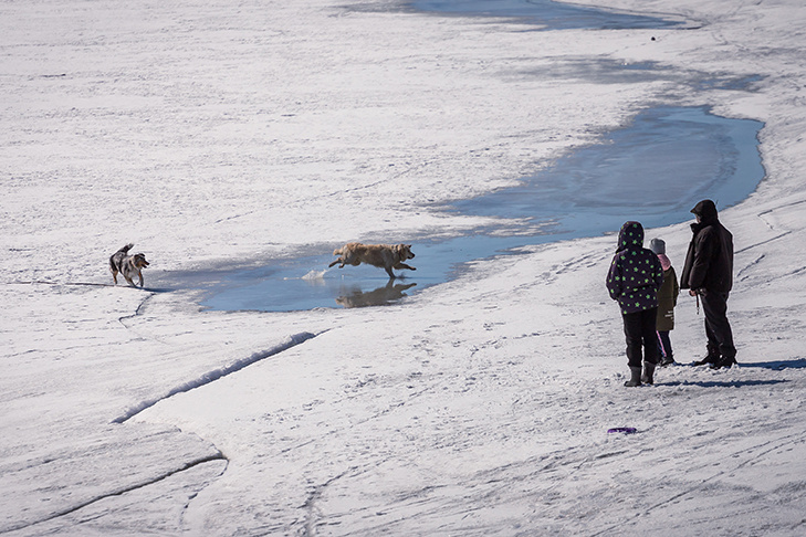    Фото Андрея Заржецкого