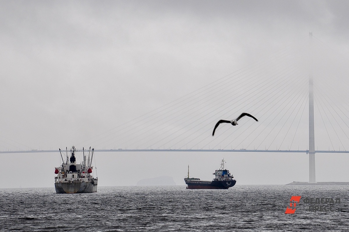 Автовоз, следовавший во Владивосток, потерял ход и дрейфует в Японском море.  Фото: Фото: ФедералПресс / Екатерина Лазарева