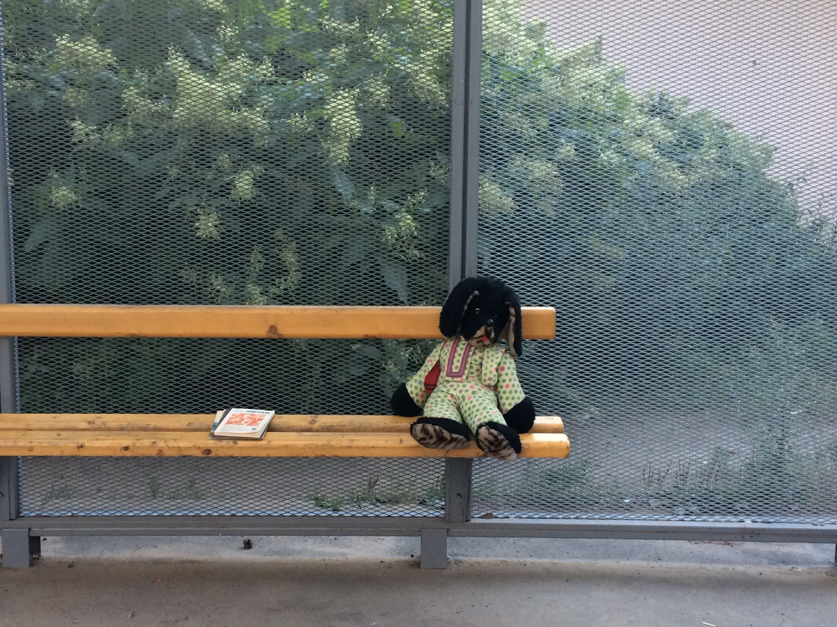 Фотограф Руслан Упатов.