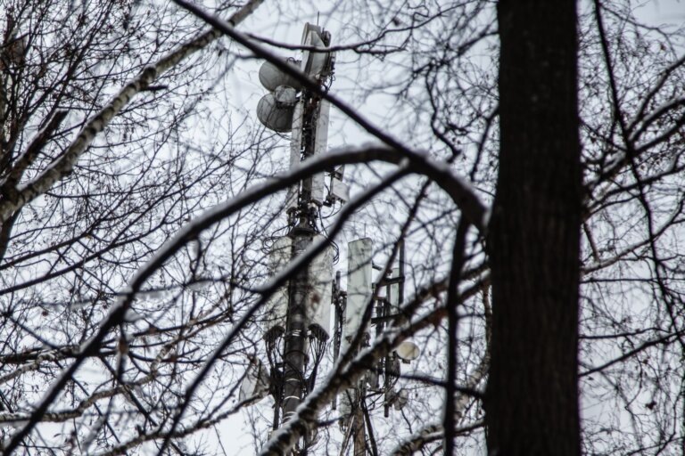    Фото: Общественная Служба Новостей Марта Леви