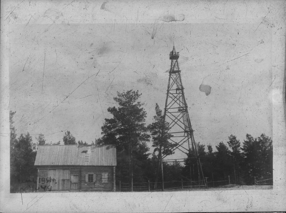    Зима в ленточном бору недалеко от г. Барнаула. . Источник: goskatalog.ru, архив АГКМ, Морозов В.В.