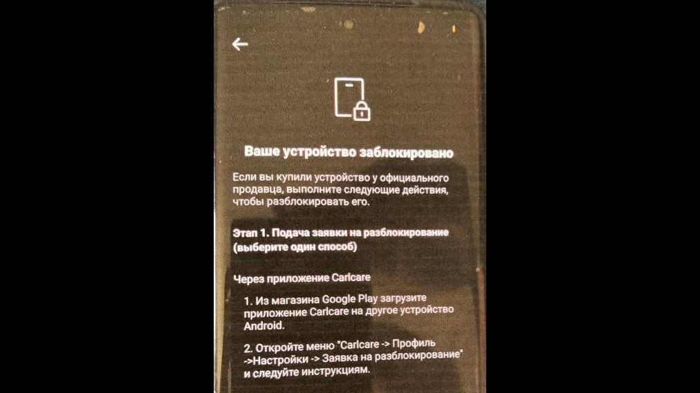    Фото: t.me/dslebedeva_official