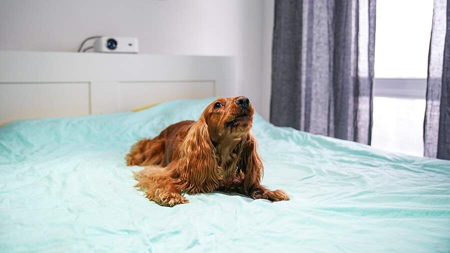    Фото: ИЗВЕСТИЯ/Сергей Лантюхов