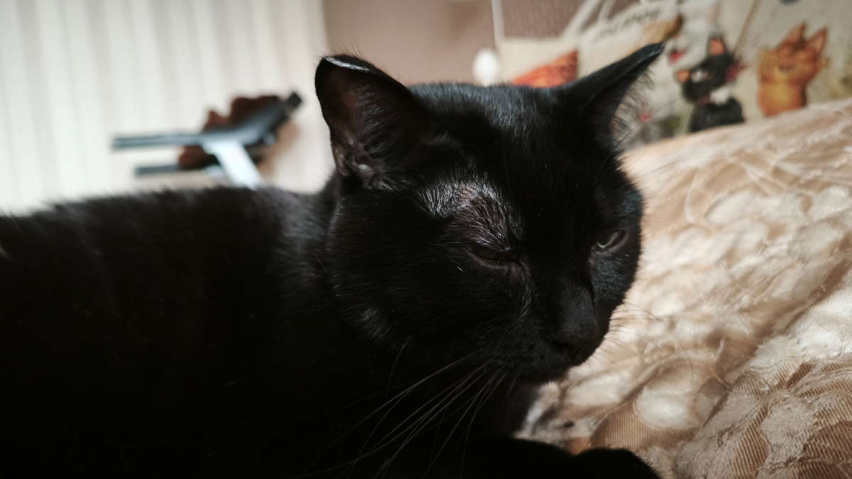 бытовая травма...