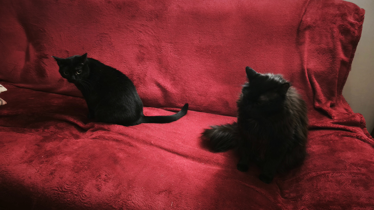 твоя туда не ходи, моя там возлежать будет!