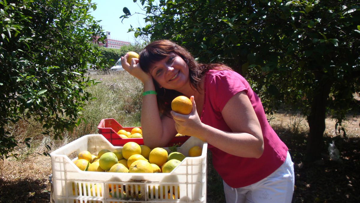 Ох, уж эти апельсины 🍊 