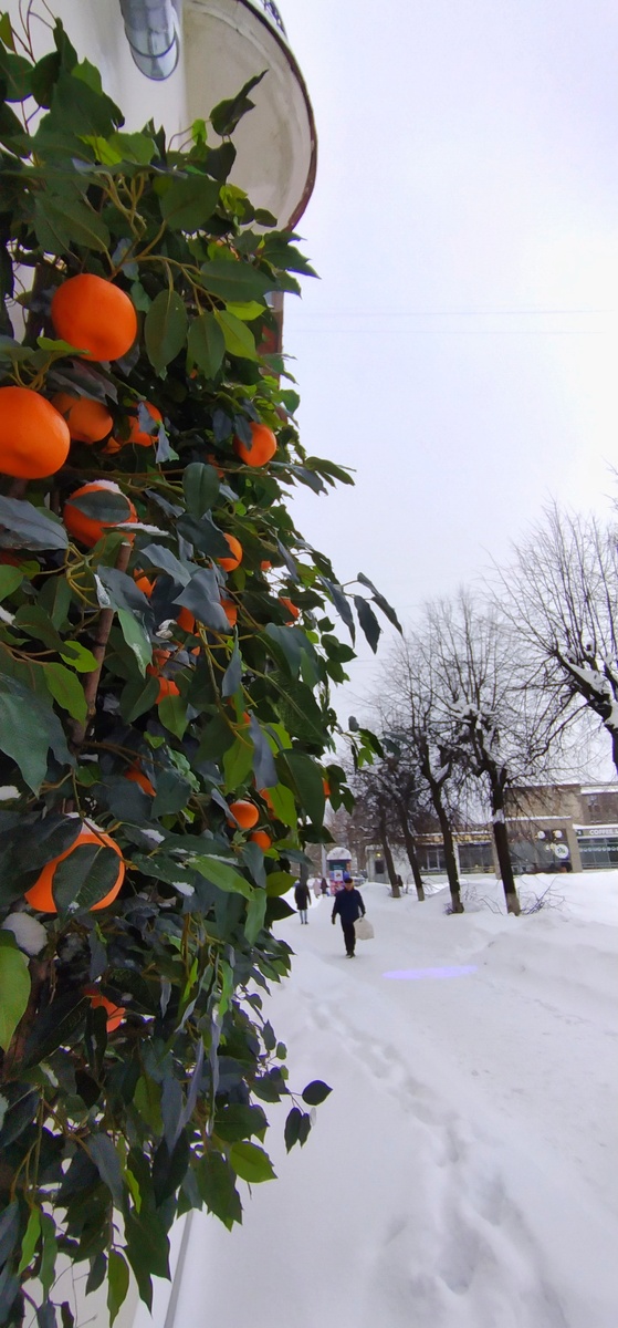 Личное фото