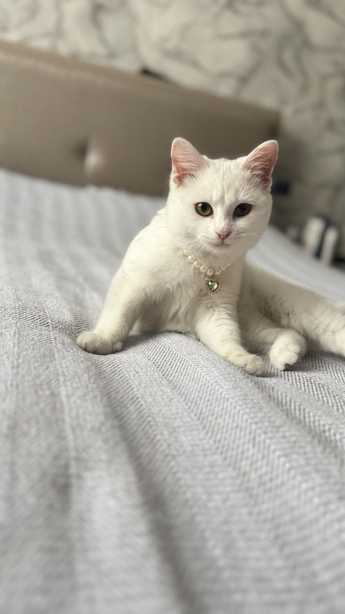 белоснежная принцесса в жемчужном ожерелье