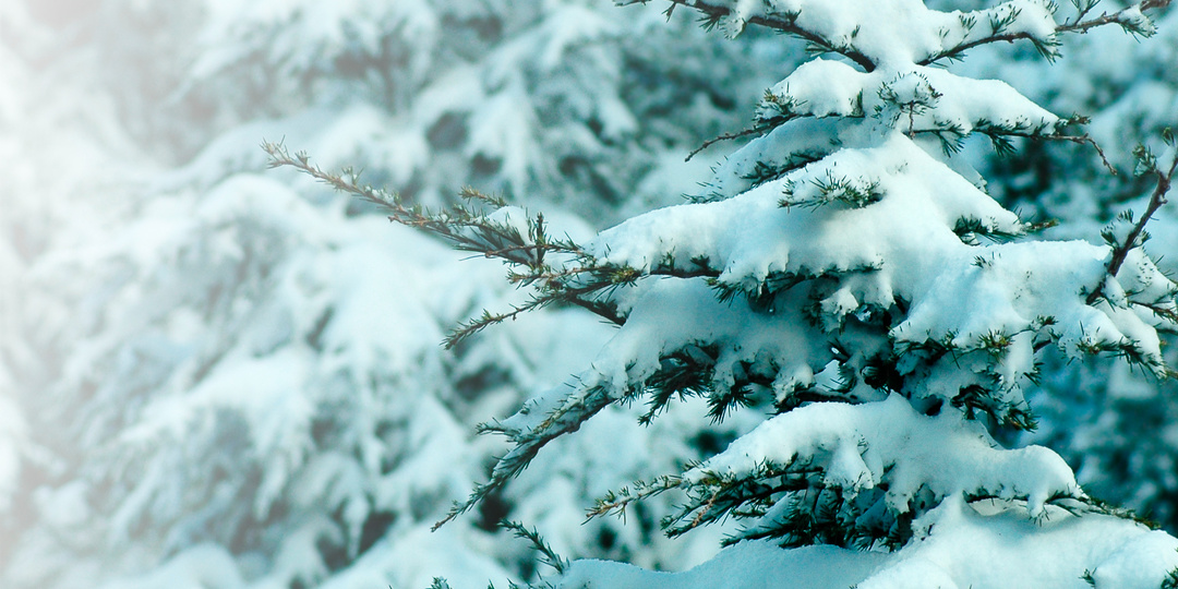Что нельзя делать 31 января, чтобы не потерять свои сбережения: Народные приметы на Афанасьев день