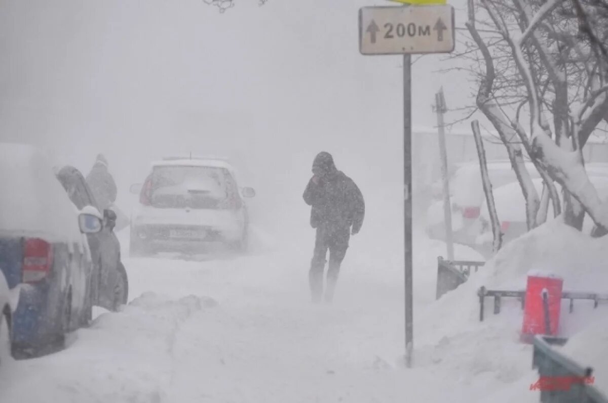    30 января в Прикамье ожидаются метели