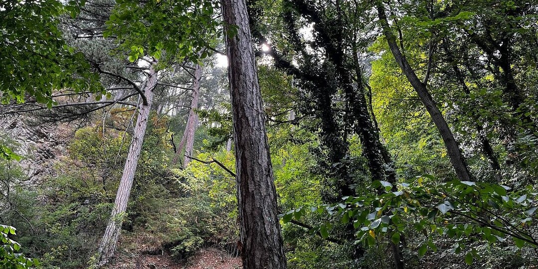 По поручению Следкома возобновили поиски Усольцевых