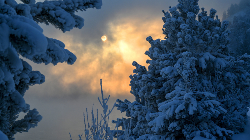    Фото: © РИА Новости/Илья Наймушин