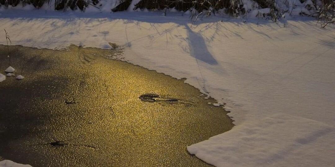 Подводные камеры задействовали для поиска провалившихся под лёд детей в Брянске