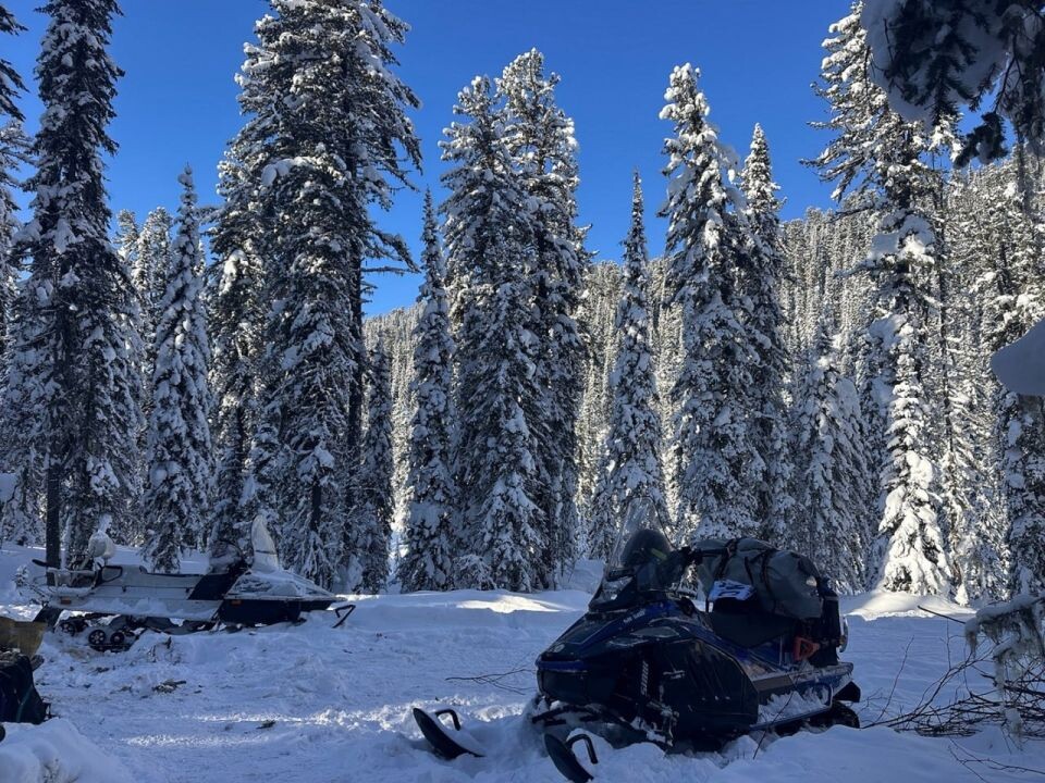    Снегоходная экспедиция по изучению мест обитания северного оленя. Источник: Роман и Татьяна Воробьевы / t.me/altzap
