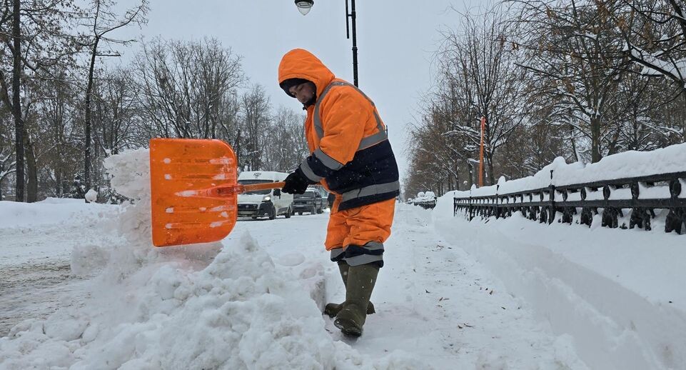    МедиаБанк Подмосковья/Марина Анисимова