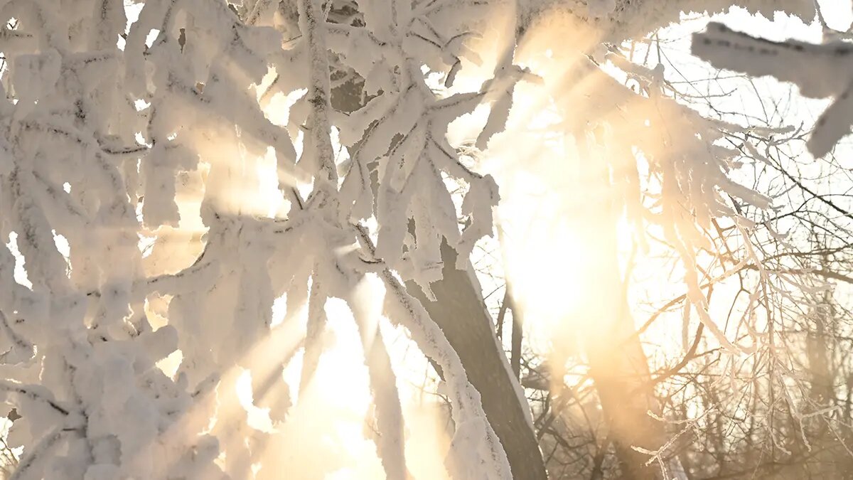    Фото: vm.ru Оксана