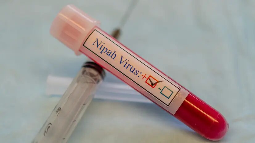    Фото: russian.rt.com Роман Булатов