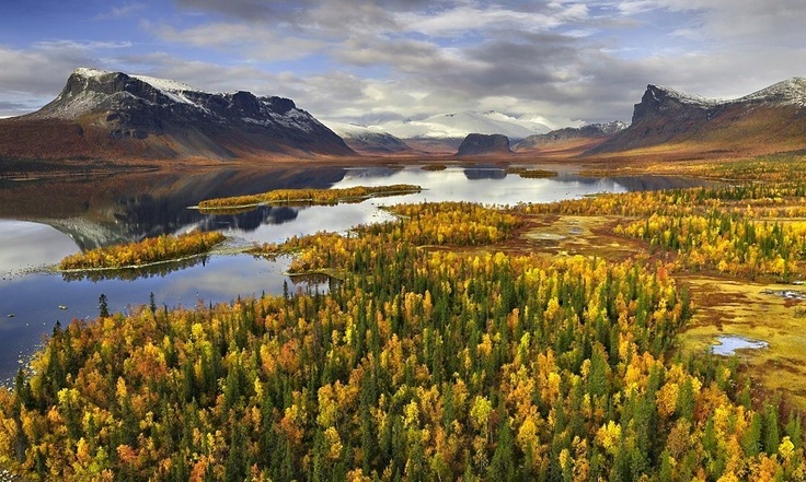 Национальный парк Sareks на севере Швеции, 67 градусов северной широты, т.е. Заполярье. Как видите, ель и береза доминируют совместно