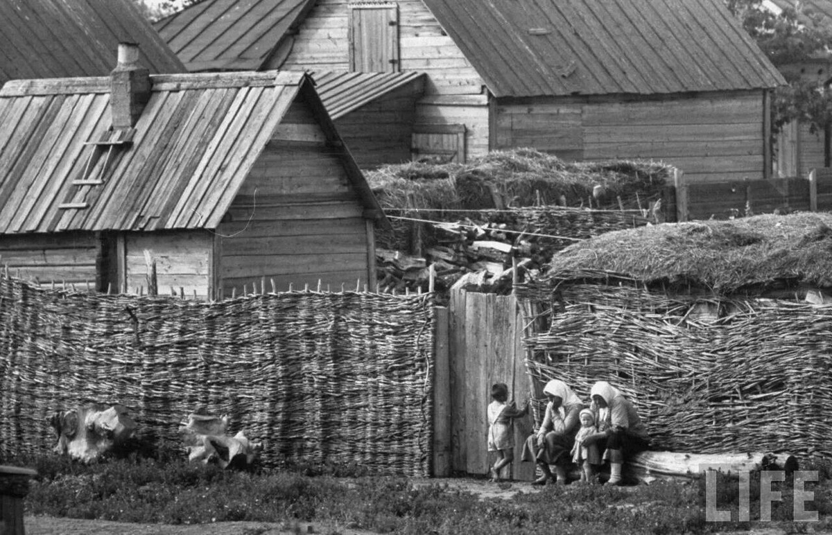 Взято из открытых источников интернета Яндекс.