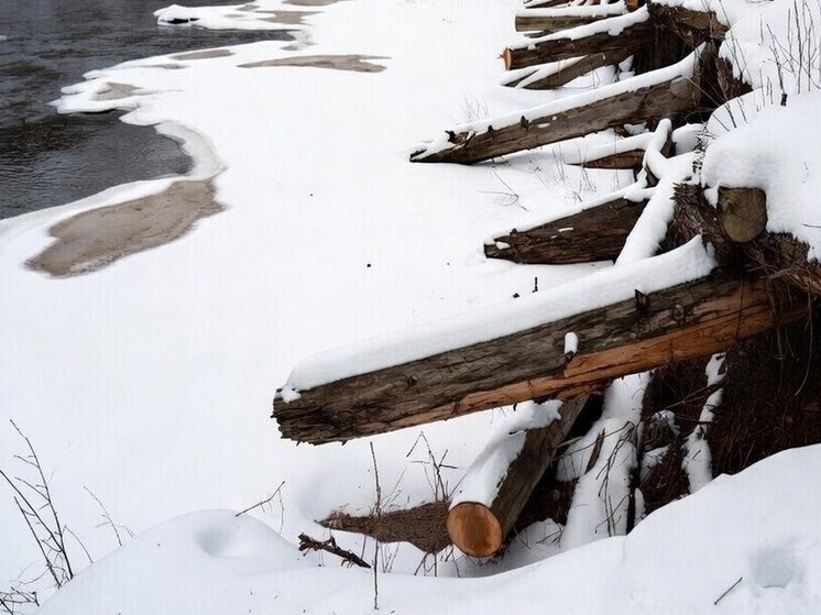     Фото: генерация Grok