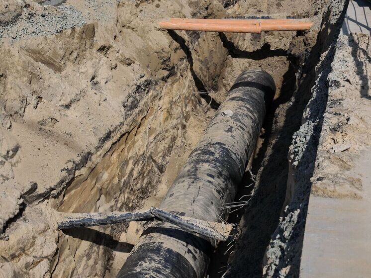     Фото: Андрей Ткачев/«Ямал-Медиа»