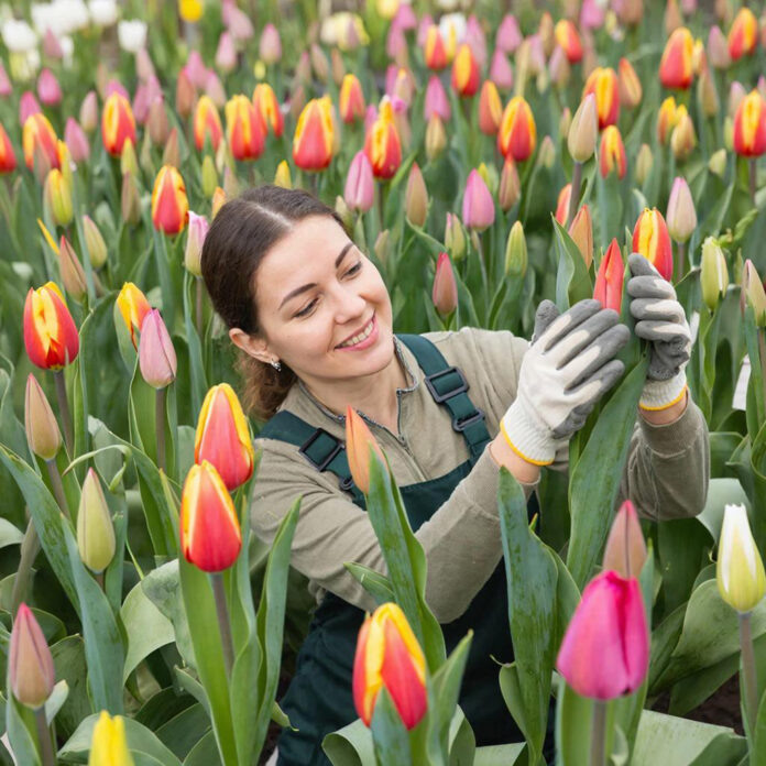 Изображение сгенерировано нейросетью ГигаЧат.