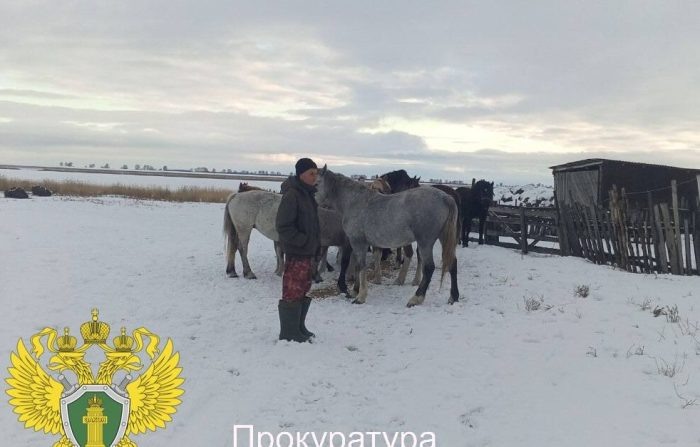 Фото: прокуратура Новосибирской области.