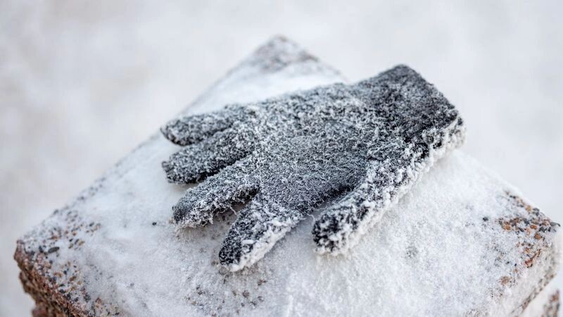    Фото: Сергей Зубков / «Ямал-Медиа»