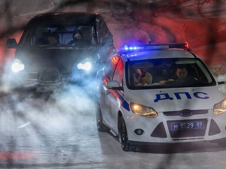     Фото: Федор Воронов/«Ямал-Медиа»