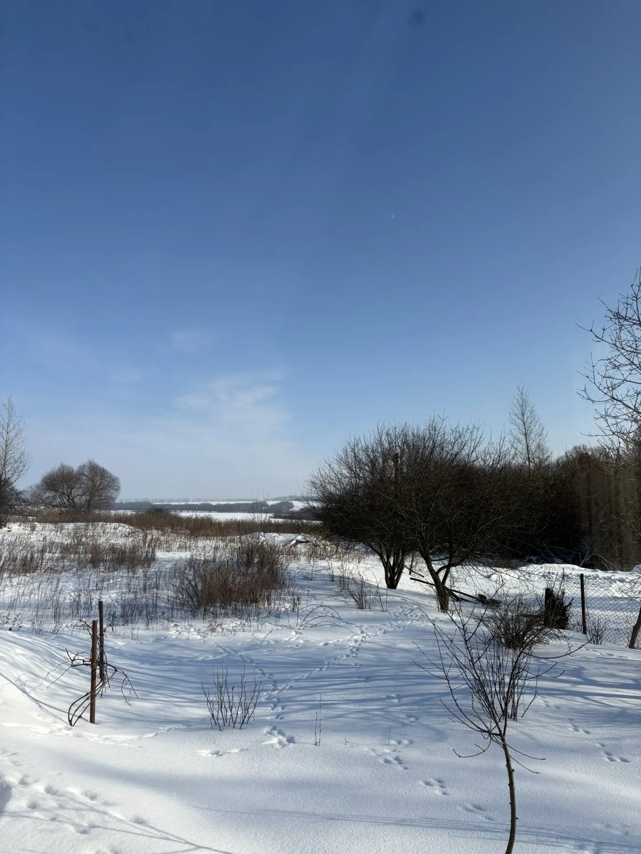 Следы невиданных зверей 😃