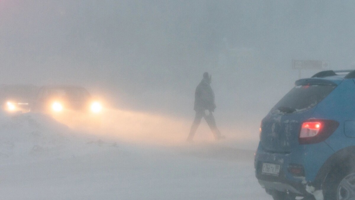    Фото: Андрей Ткачёв / «Ямал-Медиа»