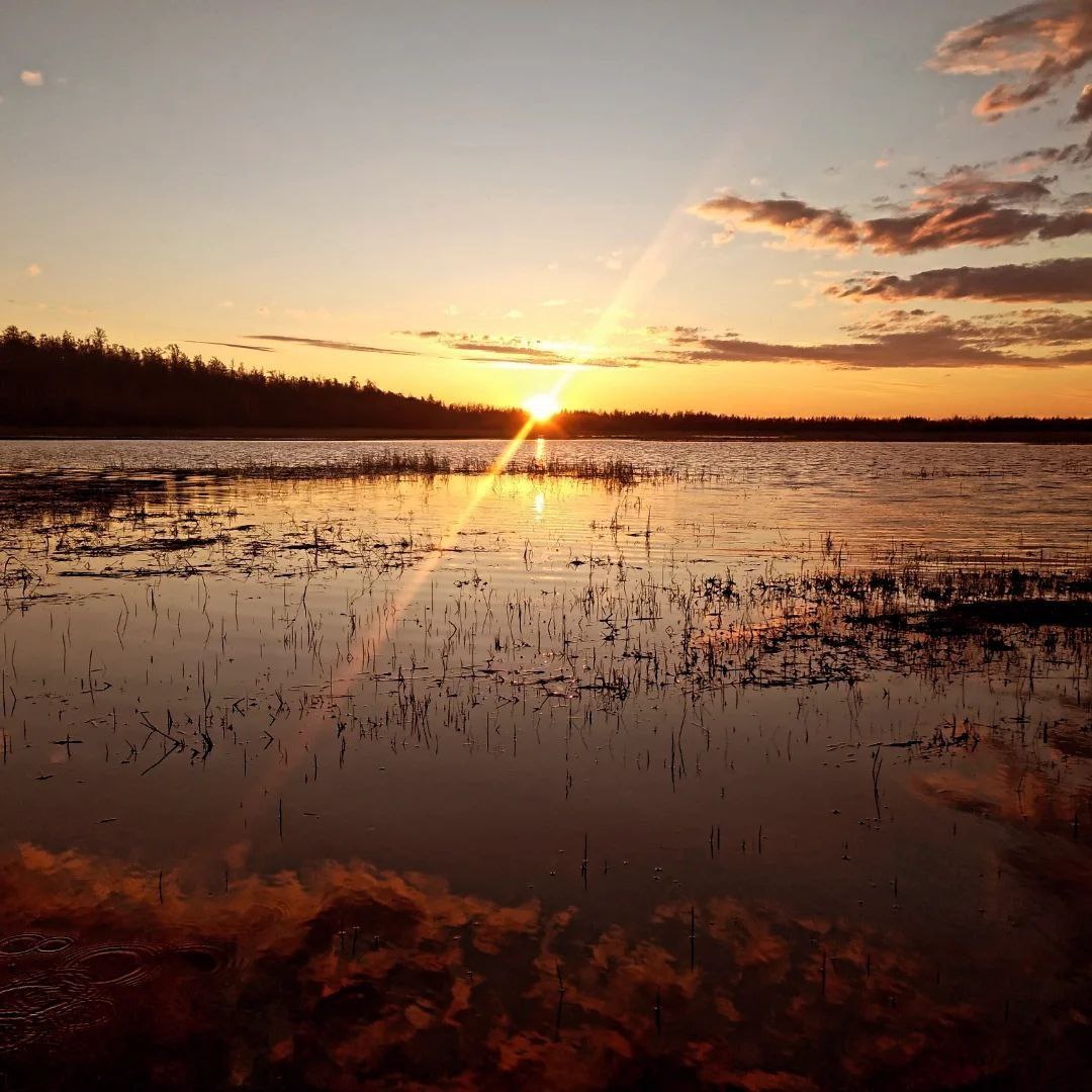 охотники на охоте за утками