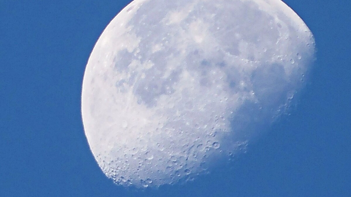    Снежную Луну февраля также называют Костлявой и Ледяной   pxhere.com